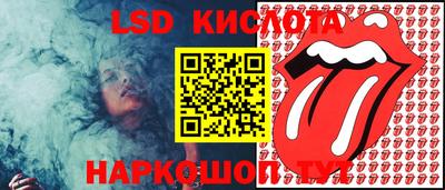 шишки Бузулук