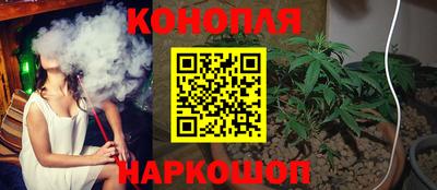 шишки Будённовск