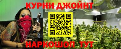 шишки Будённовск