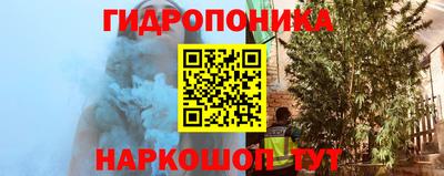 шишки Будённовск