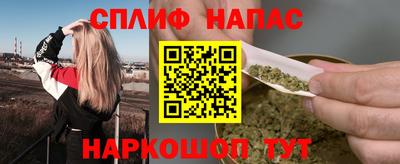 шишки Будённовск