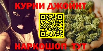 шишки Будённовск