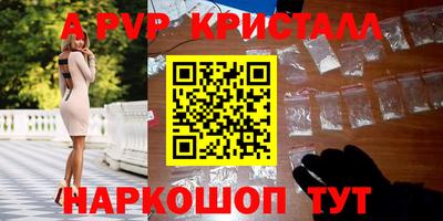 шишки Будённовск