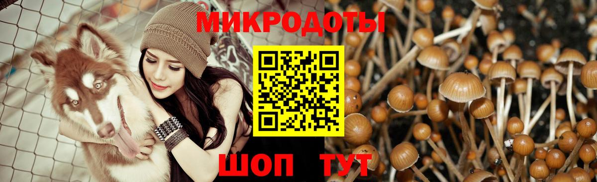 Краснотурьинск  Галлюциногенные грибы Psilocybine cubensis  Вход с VPN 